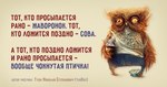Птичько