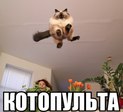 MhvwMzeLujU