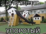 3647911