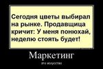 126e15c5a1dbdd7f6e79618df11035c4-download.gallery
