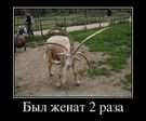 getImage (3)