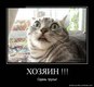 XpDvKTL4z7s