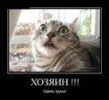 XpDvKTL4z7s