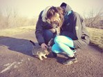 Котик )
