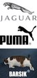 эмблемы