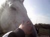 IMG0058A