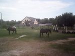 IMG0096A
