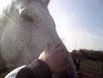 IMG0058A