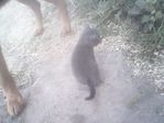 IMG0111A