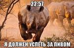 539567_656274471067706_789012841_n