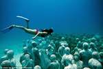 underwater_museum_3