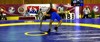image (13)