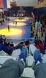 image (1)