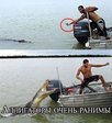 РАнимый алигатор)