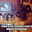 я валяюсь))))))))))))))))))))))))))))