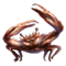 краб