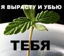 iXt8jzD8ylc