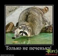 x_fc0b261f