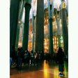 image (10)
