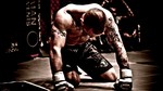 boxer