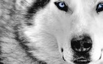 images (4)
