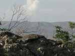 IMG_5303