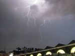IMG_5524