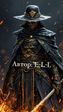 Art 13