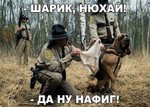 image (1)