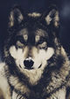 image (3)