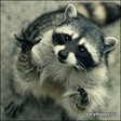 x_e4b83a8c