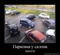 ох эти Дамы :) 
