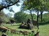 Pittsburgh Zoo