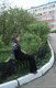 Врасплох
