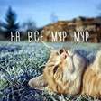 мурмур
