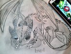 IMG_20160427_203707