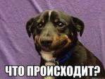 что происходит