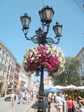 image (2)