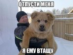 да такой бы втащил)