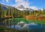 images (1)