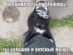 DDm6DEZo9w8