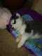 IMG-20210822-WA0000