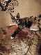 IMG-20210730-WA0005