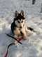 IMG-20201214-WA0016