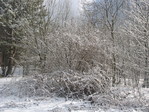 Ангарский  перевал в марте 