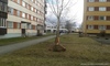 Где то в мире =).