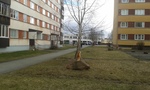 Где то в мире =).