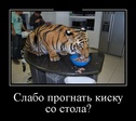 demotivatory_30