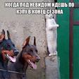 3b9ba65ee8c35693fa433bacee8fd37d3d0593b7