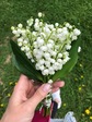 Нет на планете , более прекрасных цветов , чем ландыши 